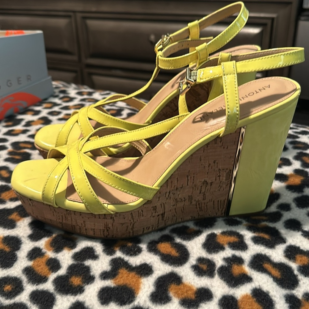 Antonio Melani - image 2